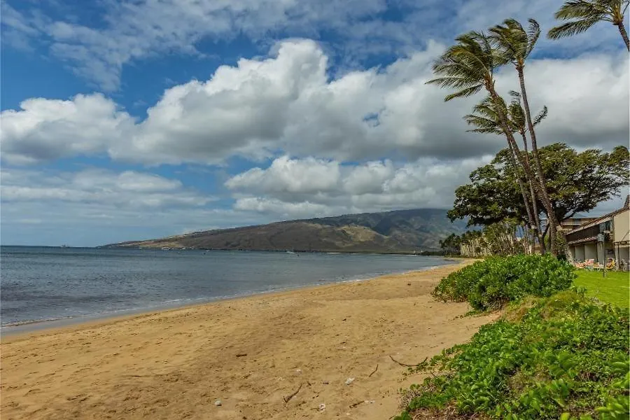 Apartment Maalaea Surf, #C-7 Condo Kihei United States