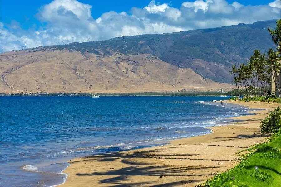 Maalaea Surf, #C-7 Condo Kihei Apartment