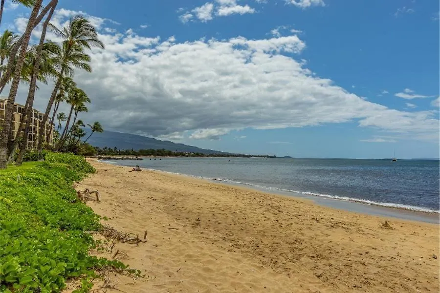 Maalaea Surf, #C-7 Condo Kihei United States